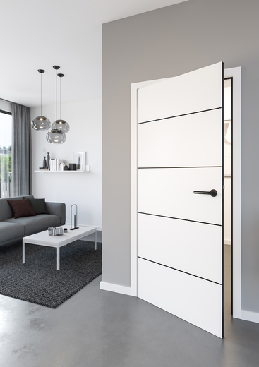 Dveře DesignLine Steel .jpg